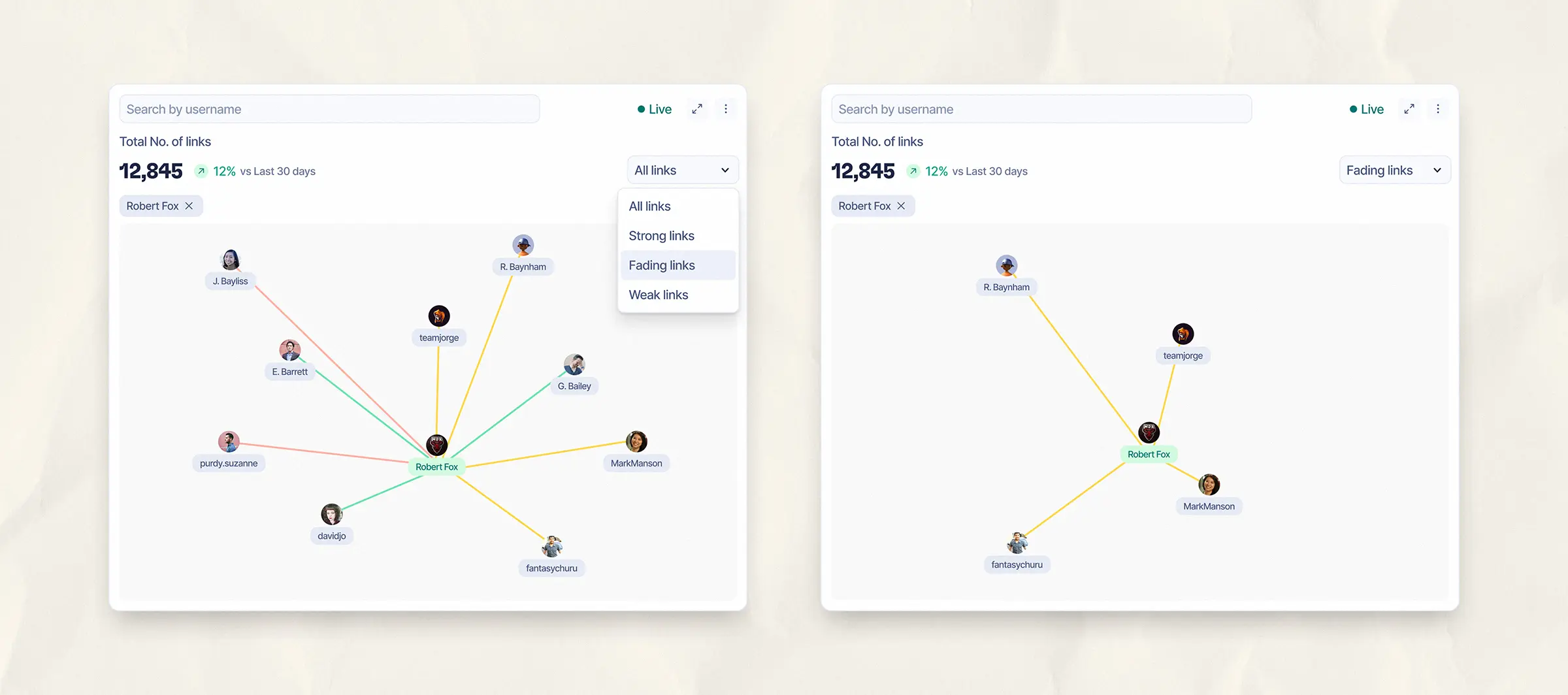 Filtered network view showing strong, weak, and fading links for a selected member.
